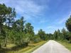 Parker Roberts Road photo